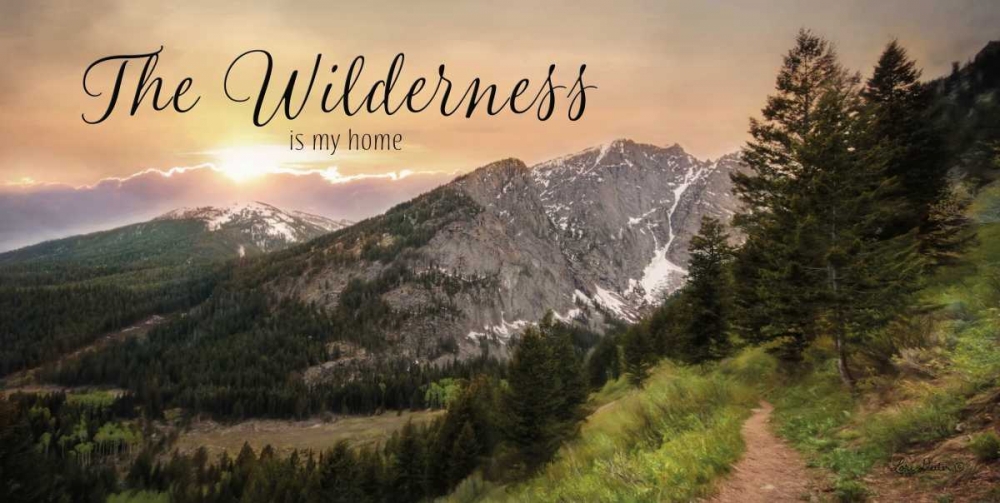 The Wilderness is My Home art print by Lori Deiter for $57.95 CAD