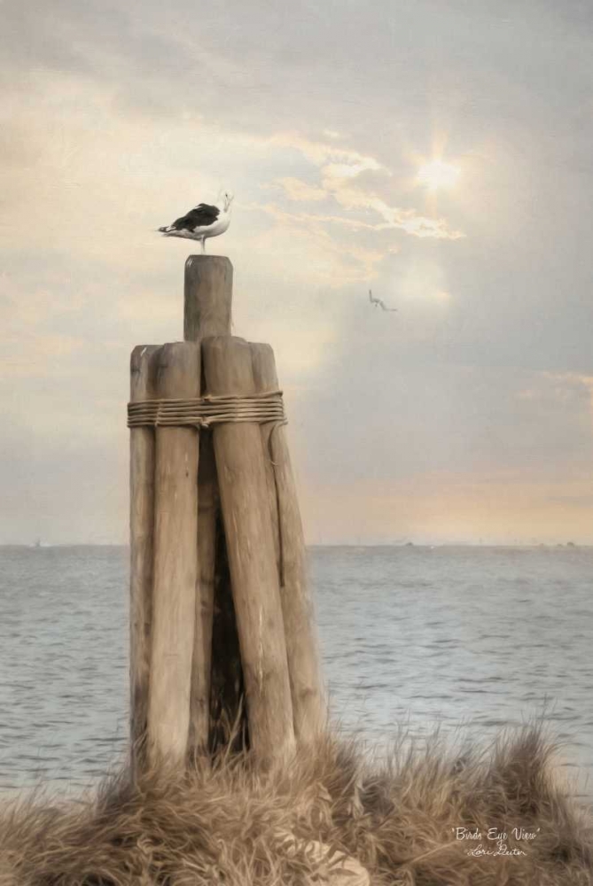 Birds Eye View art print by Lori Deiter for $57.95 CAD