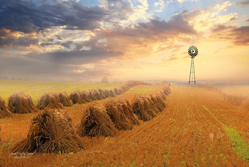 Amish Country Sunrise art print by Lori Deiter for $57.95 CAD