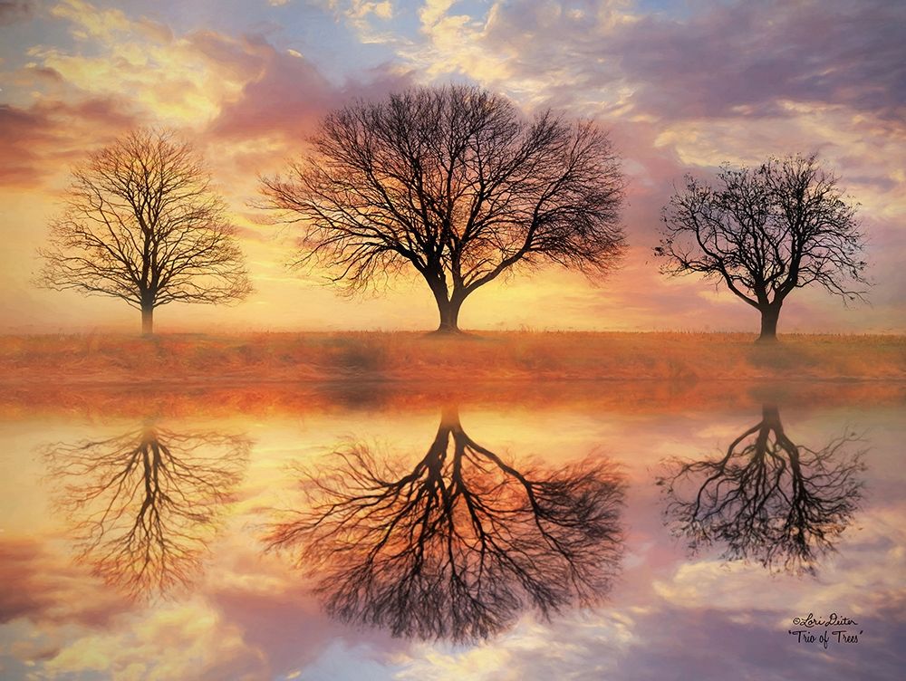 Trio of Trees art print by Lori Deiter for $57.95 CAD
