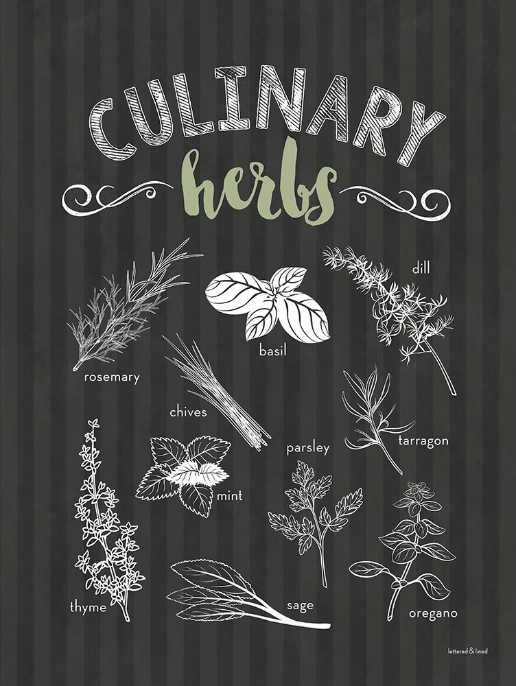 Culinary Herbs art print by lettered And lined for $57.95 CAD