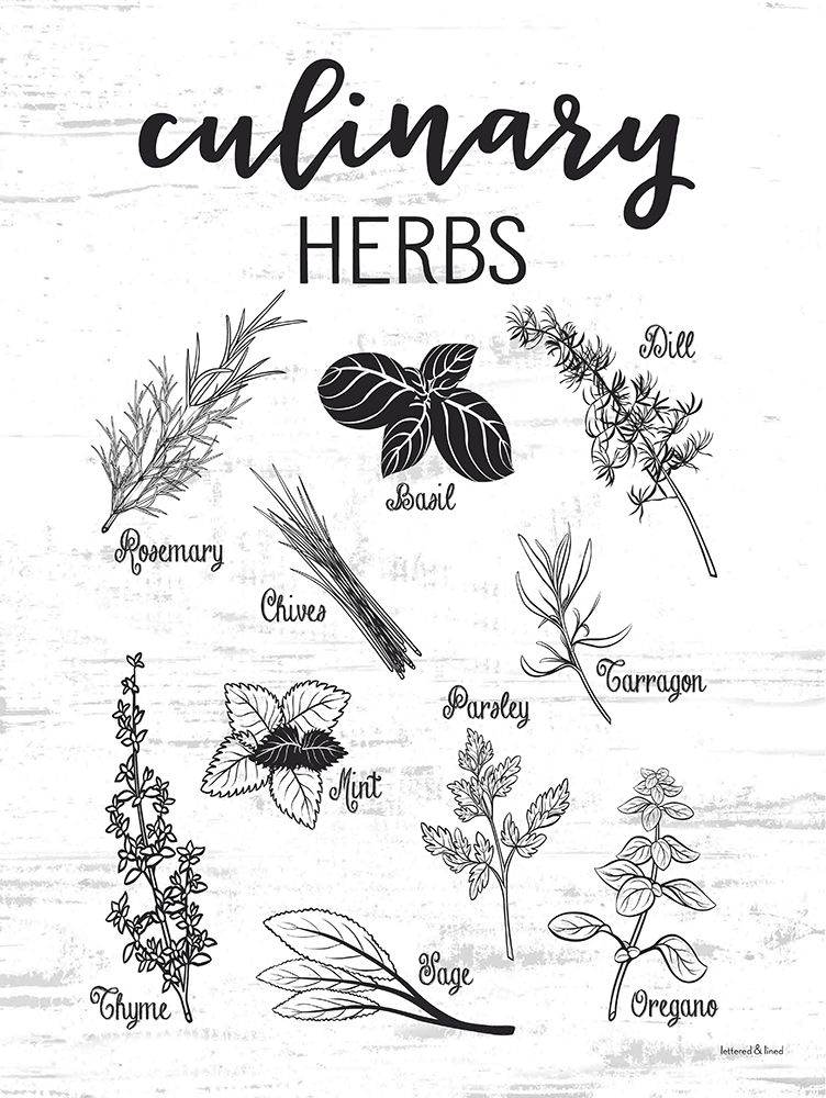 Culinary Herbs art print by lettered And lined for $57.95 CAD