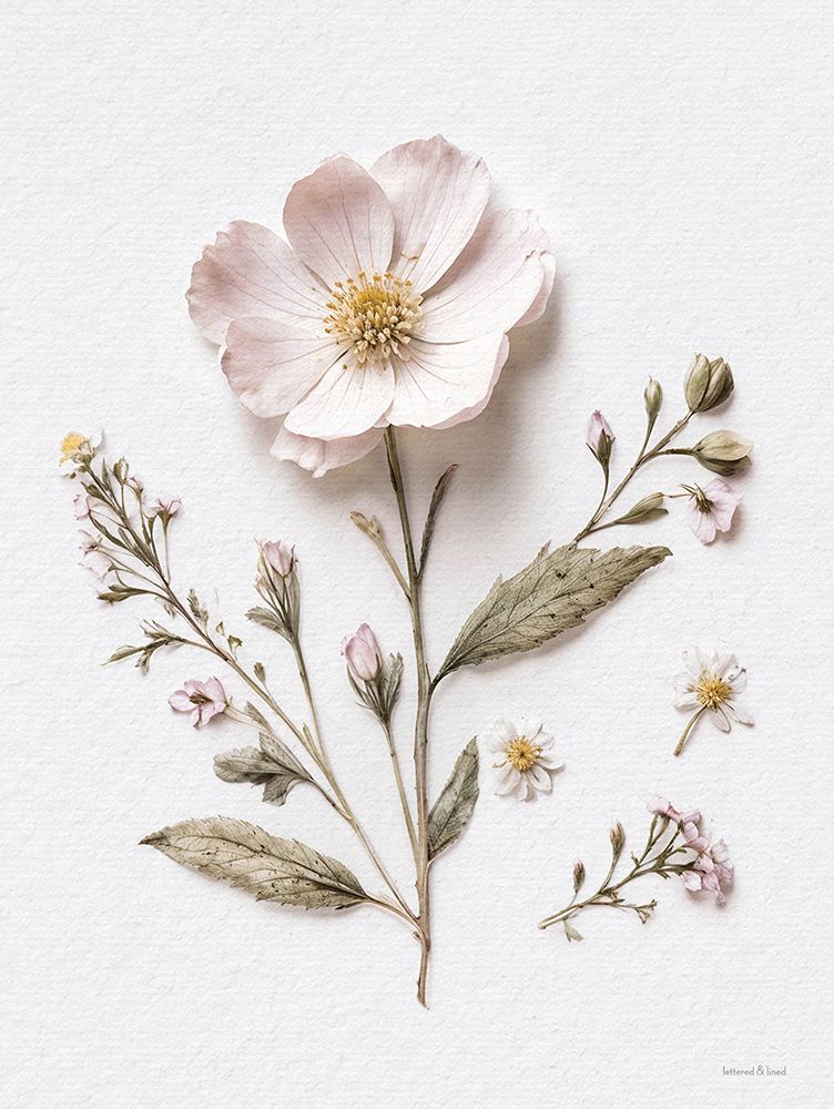 Pressed Flowers II art print by lettered And lined for $57.95 CAD