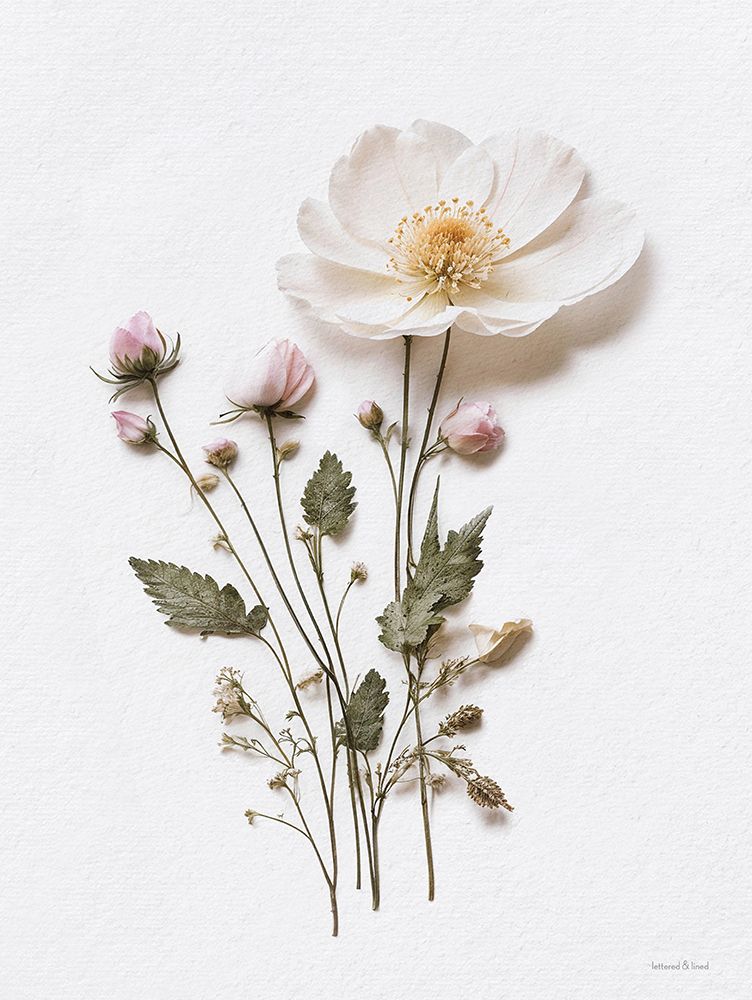 Pressed Flowers III art print by lettered And lined for $57.95 CAD