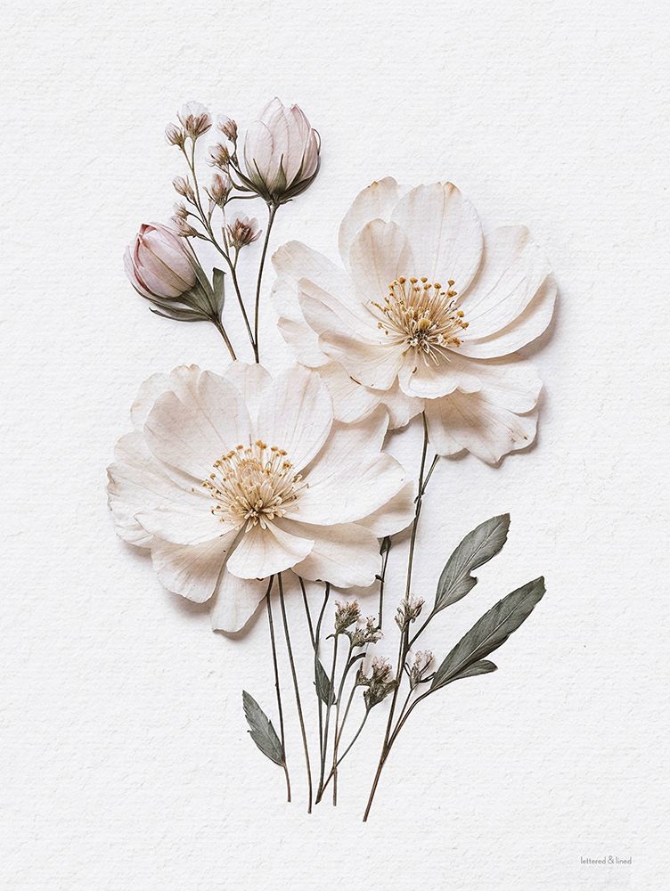 Pressed Flowers IV art print by lettered And lined for $57.95 CAD