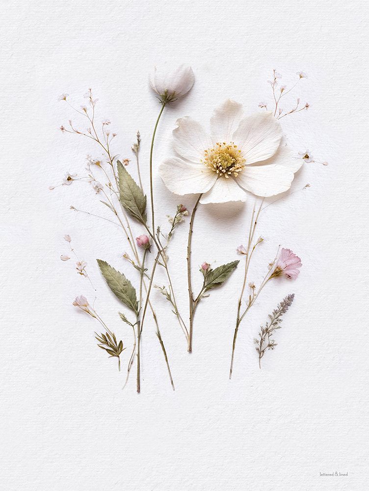 Pressed Flowers V art print by lettered And lined for $57.95 CAD