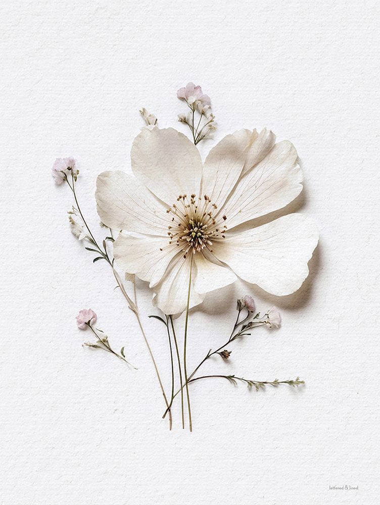 Pressed Flowers VI art print by lettered And lined for $57.95 CAD