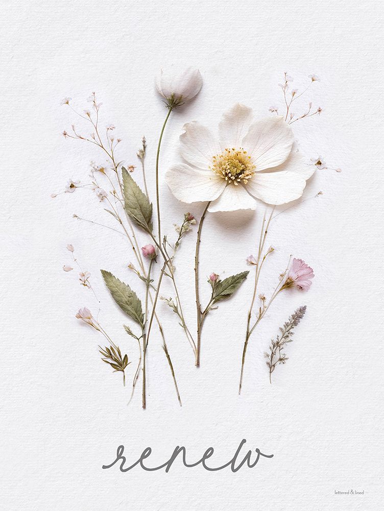 Renew Pressed Flowers art print by lettered And lined for $57.95 CAD