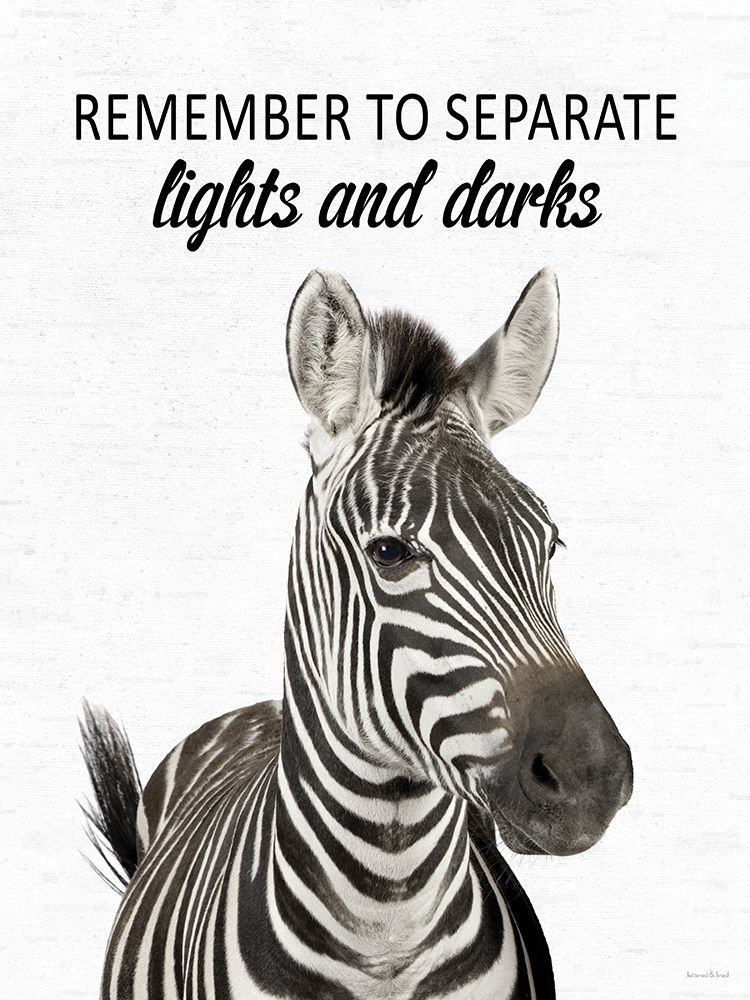 Separate Lights and Darks Zebra art print by lettered And lined for $57.95 CAD
