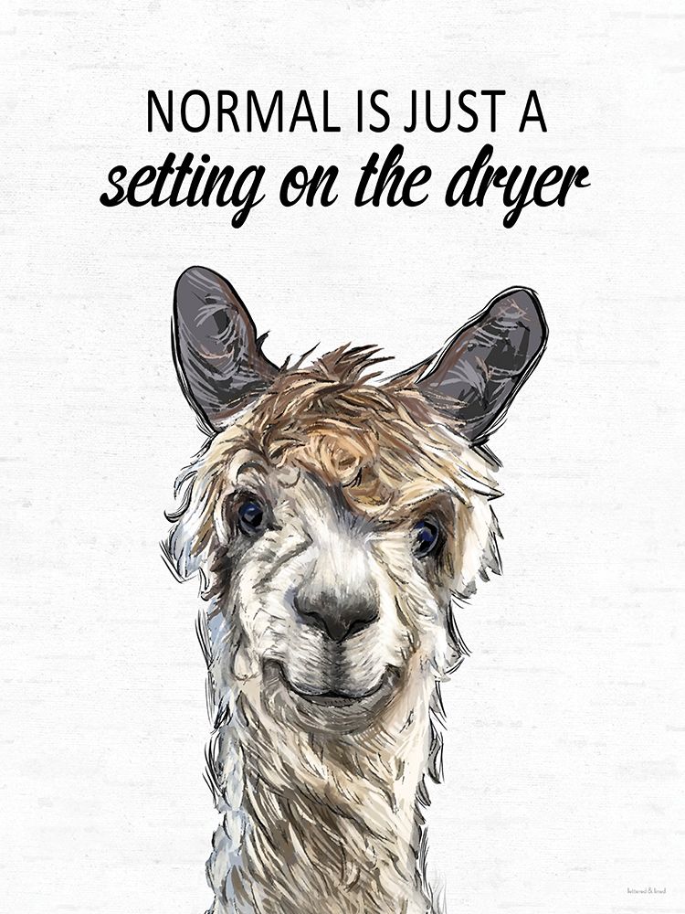 Normal Is Alpaca art print by lettered And lined for $57.95 CAD