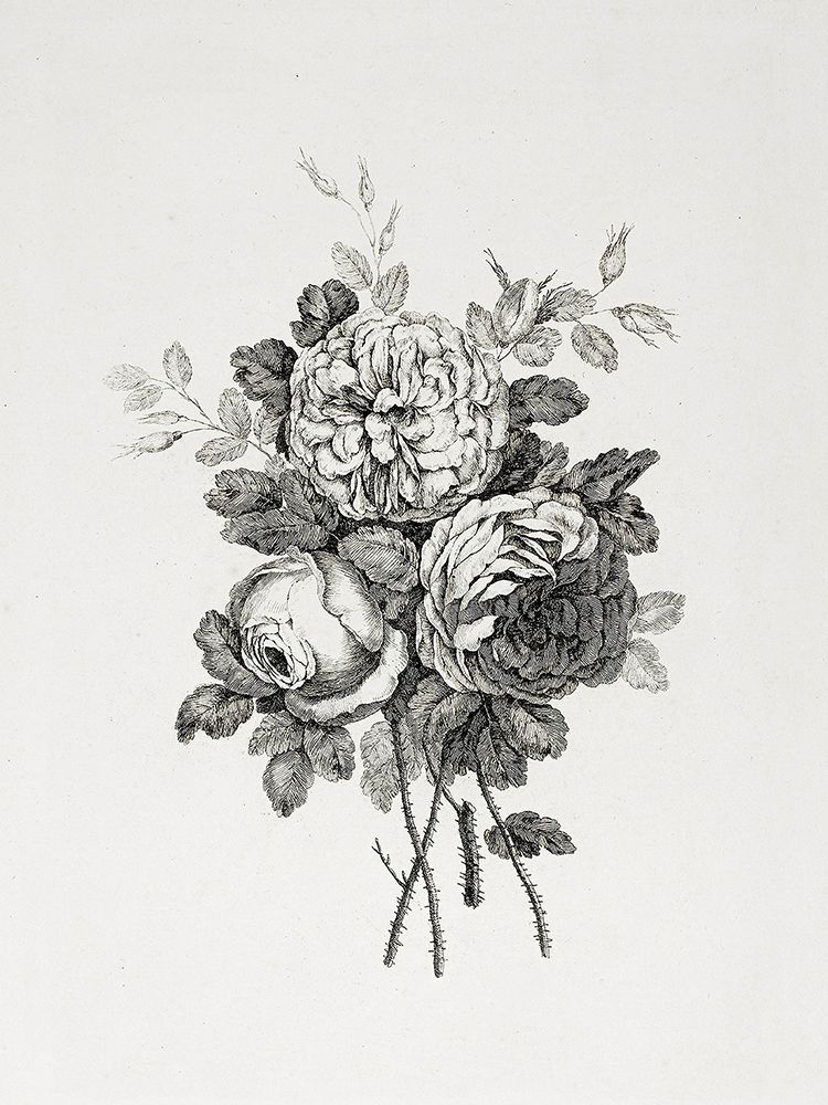 Floral Etching I art print by lettered And lined for $57.95 CAD