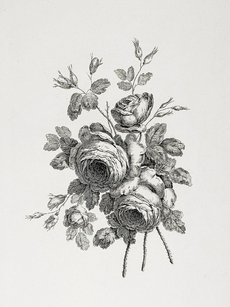 Floral Etching II art print by lettered And lined for $57.95 CAD