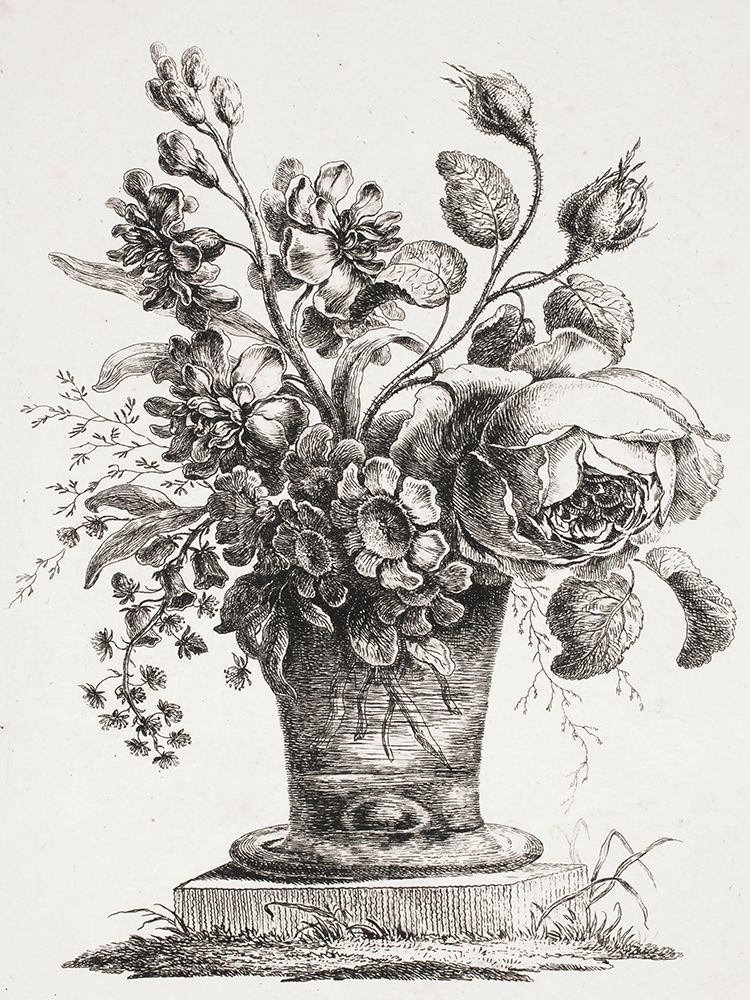 Floral Etching III art print by lettered And lined for $57.95 CAD
