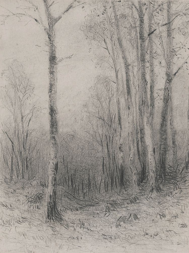 Tree Line Sketch art print by lettered And lined for $57.95 CAD