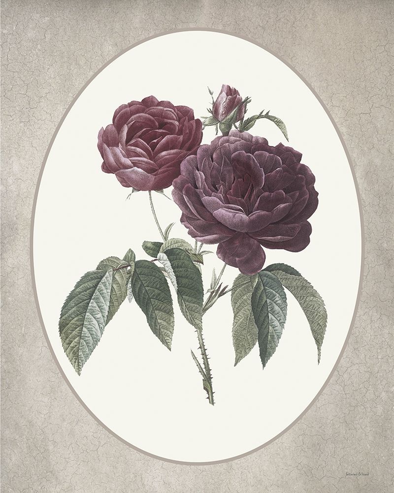 Floral Trio I art print by lettered And lined for $57.95 CAD