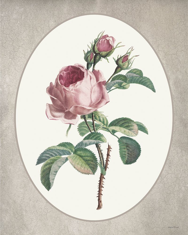 Floral Trio III art print by lettered And lined for $57.95 CAD