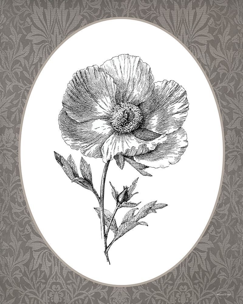 Vintage Botanical I art print by lettered And lined for $57.95 CAD