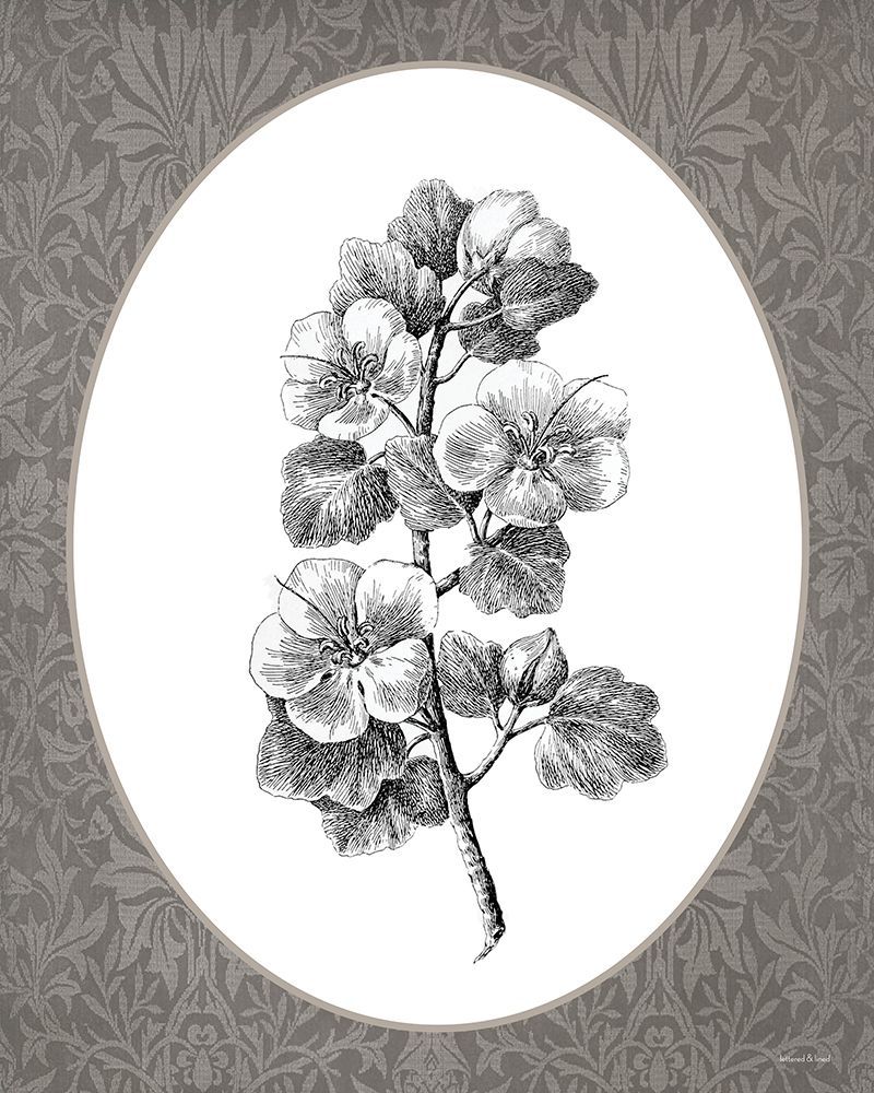 Vintage Botanical II art print by lettered And lined for $57.95 CAD