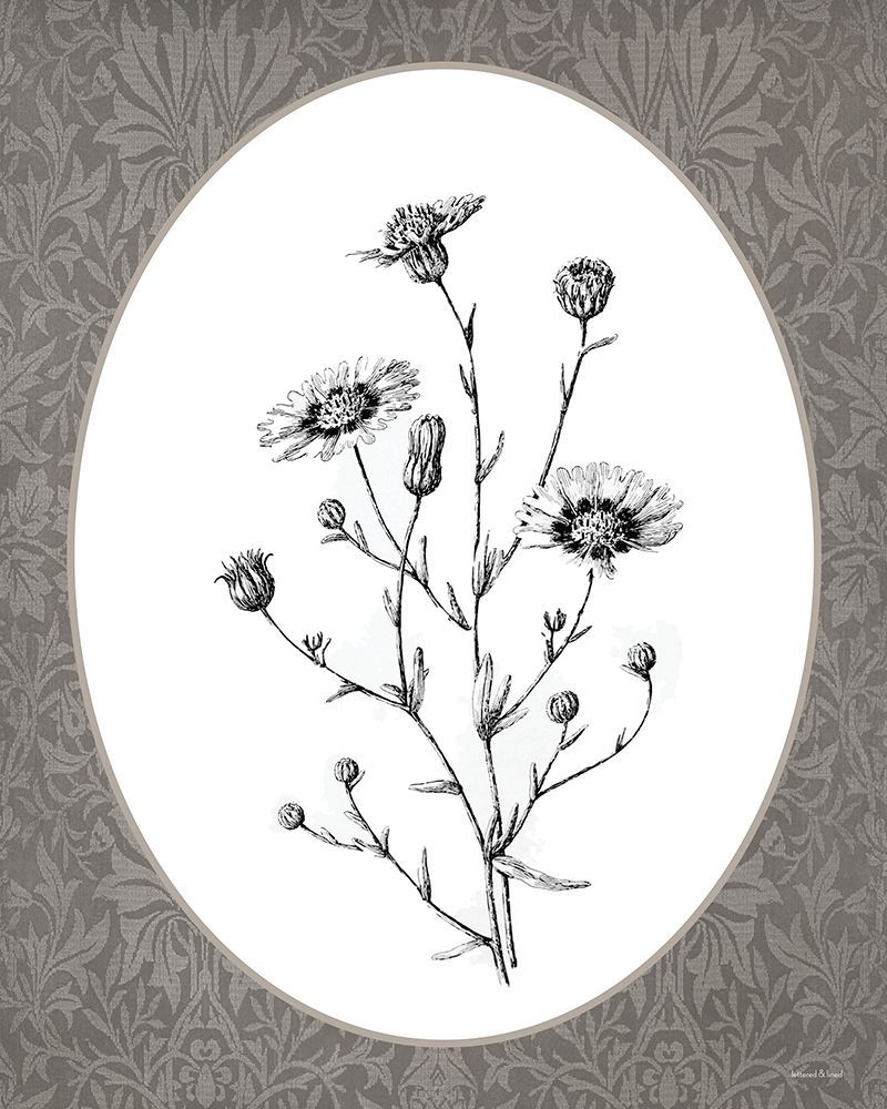 Vintage Botanical IV art print by lettered And lined for $57.95 CAD