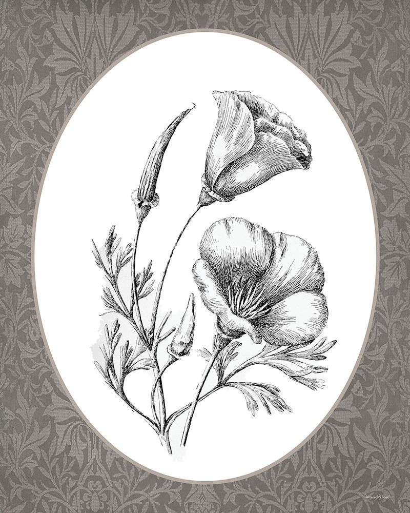 Vintage Botanical V art print by lettered And lined for $57.95 CAD