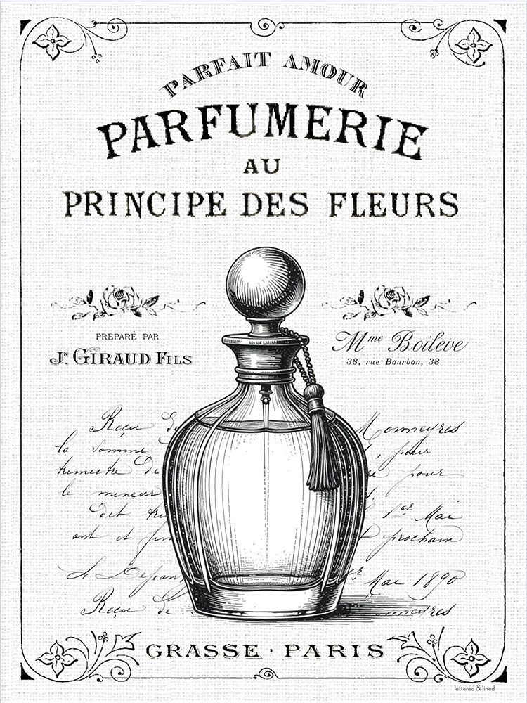 Parfumerie art print by lettered And lined for $57.95 CAD