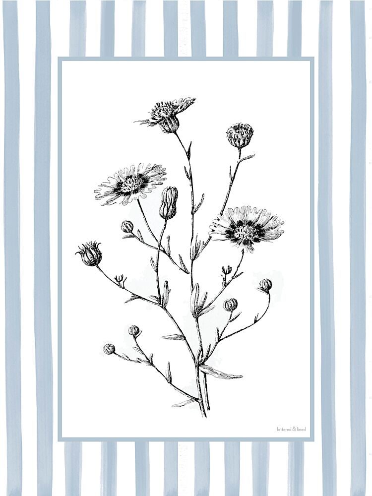 Floral Sketch II art print by Lettered and Lined for $57.95 CAD