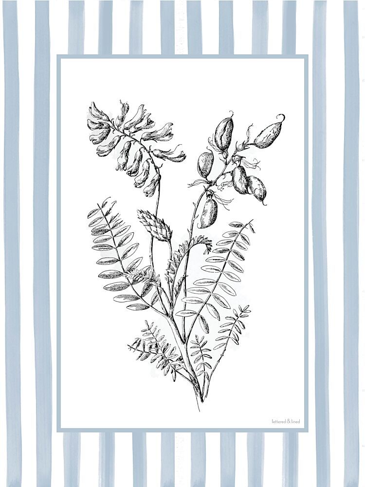 Floral Sketch III art print by Lettered and Lined for $57.95 CAD