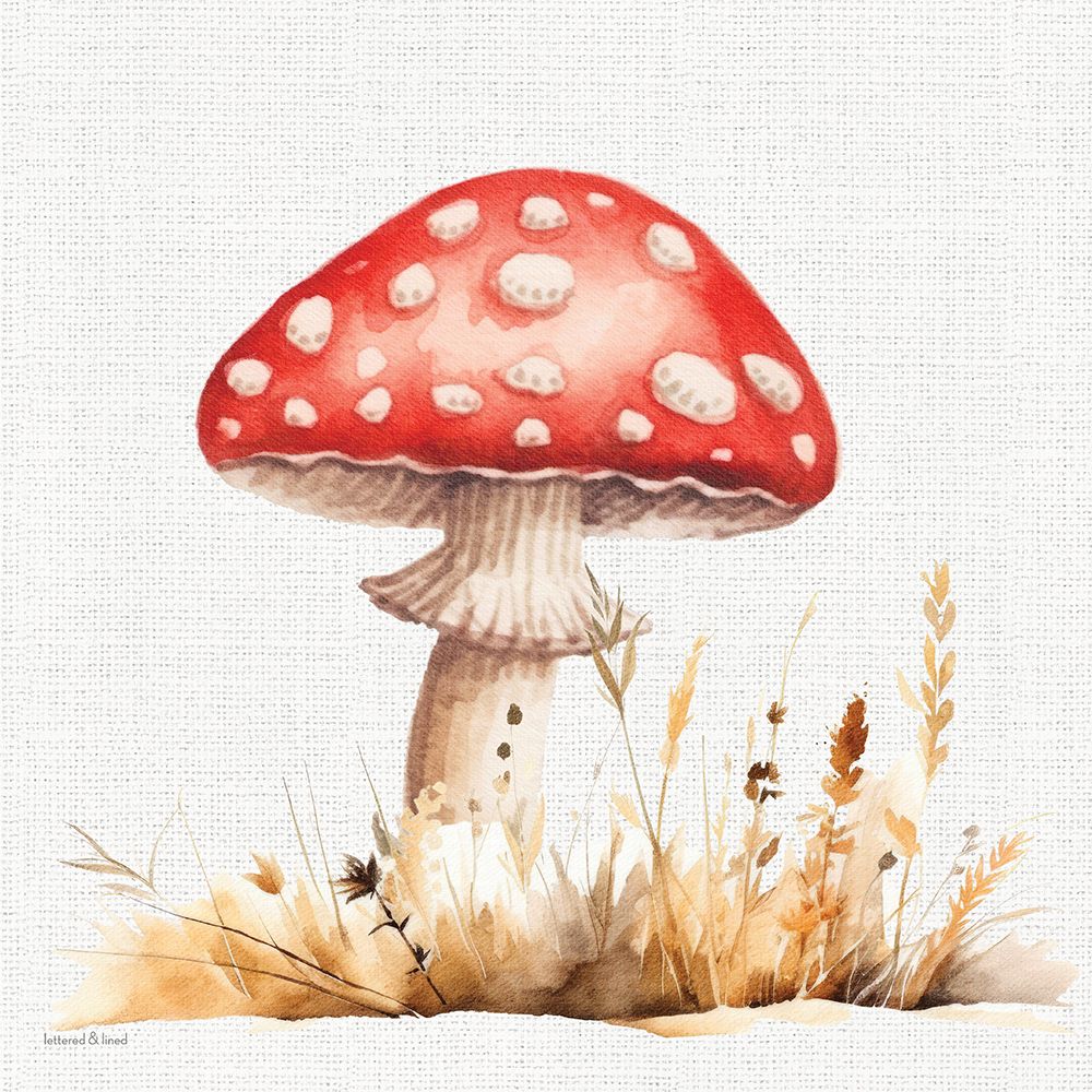 Toadstool Treasures 2 art print by lettered And lined for $57.95 CAD