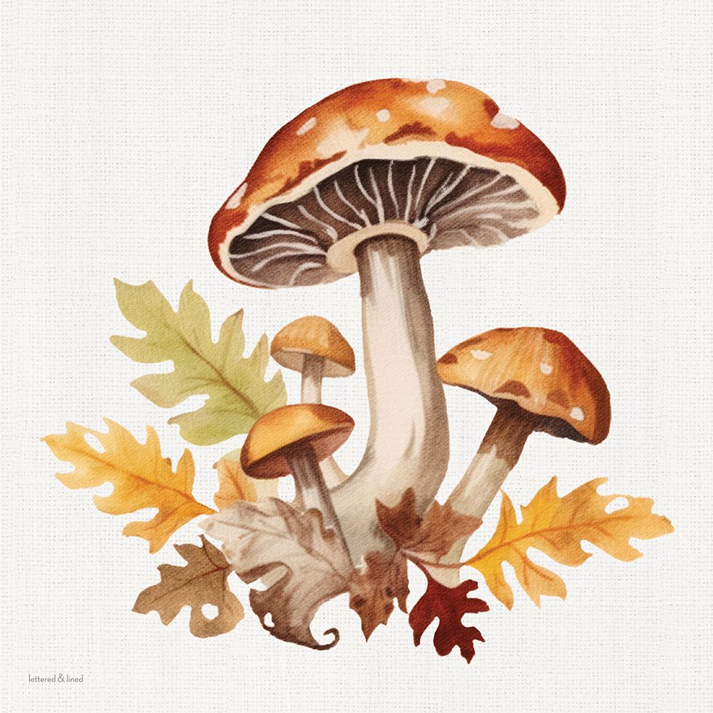 Fall Mushrooms 1 art print by lettered And lined for $57.95 CAD