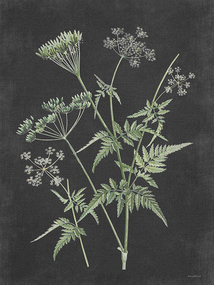 Chives art print by Lettered and Lined for $57.95 CAD