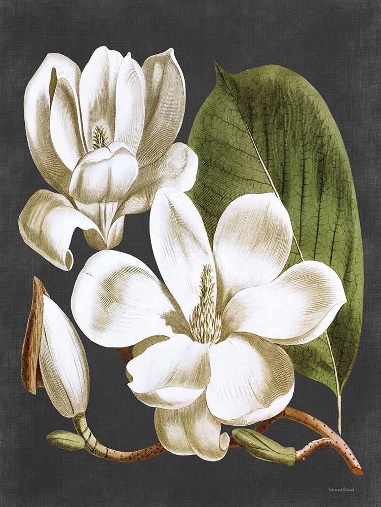 Magnolia art print by Lettered and Lined for $57.95 CAD
