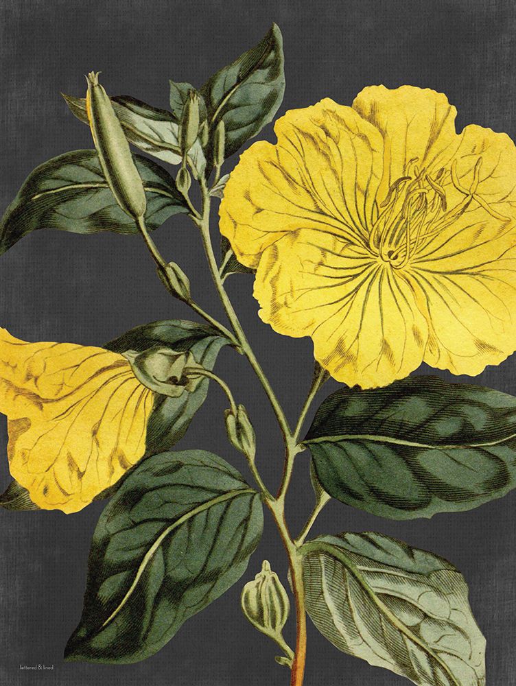 Yellow Vine art print by Lettered and Lined for $57.95 CAD