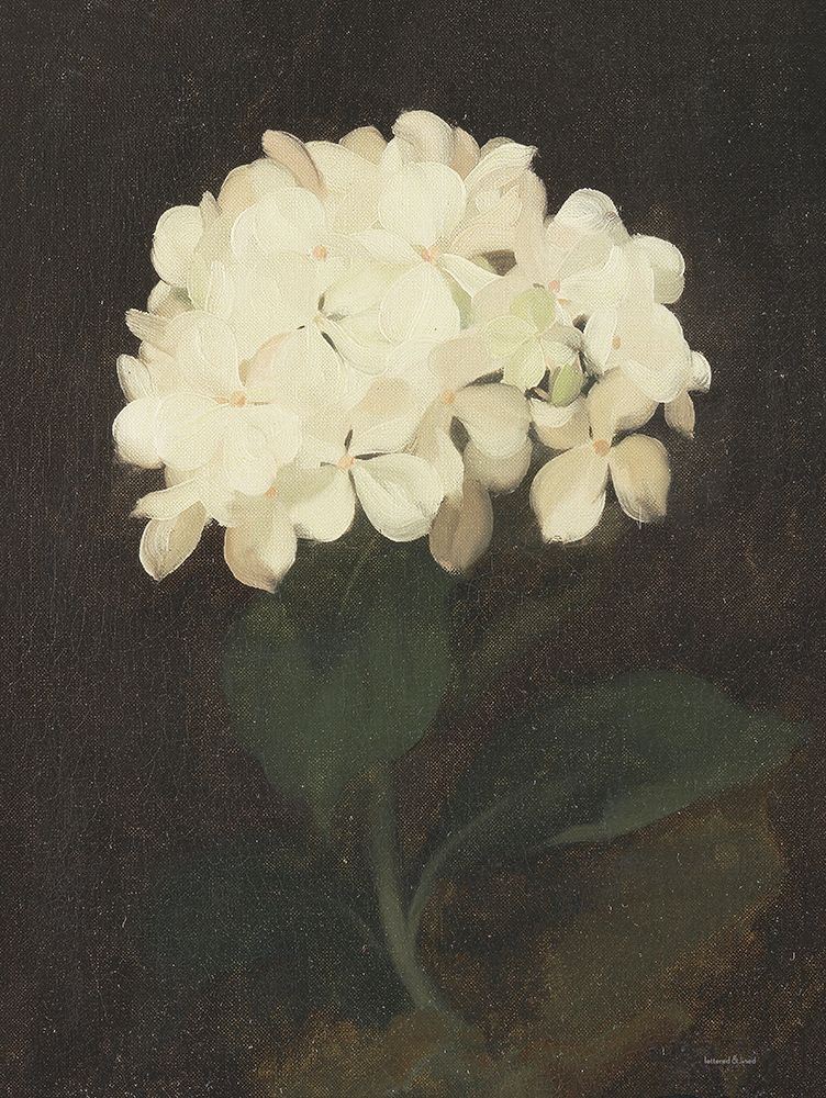 Vintage White Hydrangea art print by Lettered And Lined for $57.95 CAD