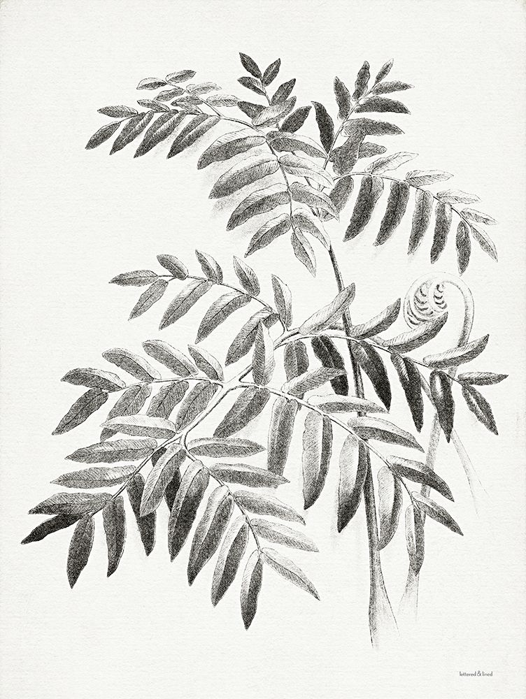 Leaf Illustration I art print by Lettered And Lined for $57.95 CAD