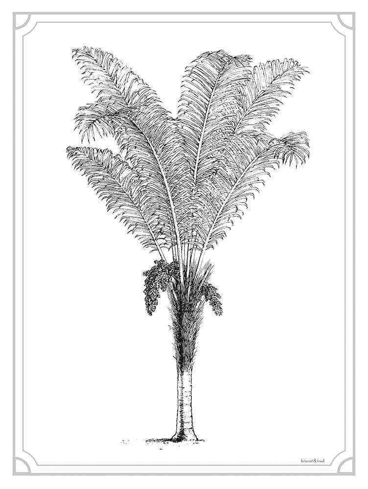 Timeless Palm art print by Lettered And Lined for $57.95 CAD