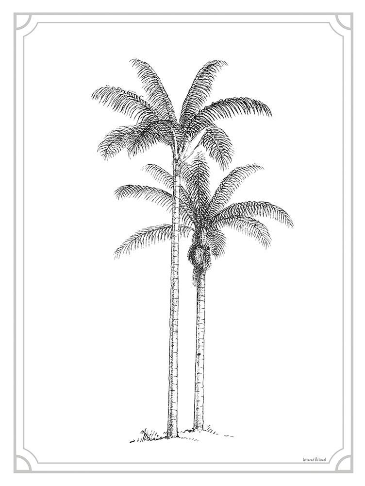 Timeless Palms art print by Lettered And Lined for $57.95 CAD