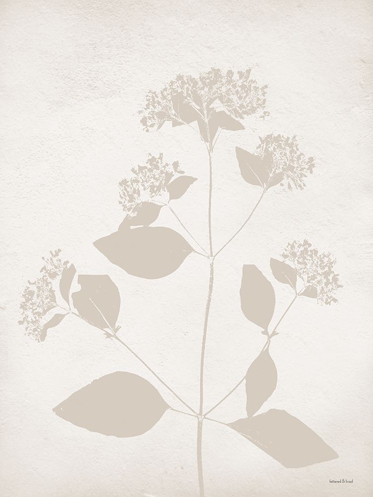 Floral Silhouette I art print by lettered And lined for $57.95 CAD