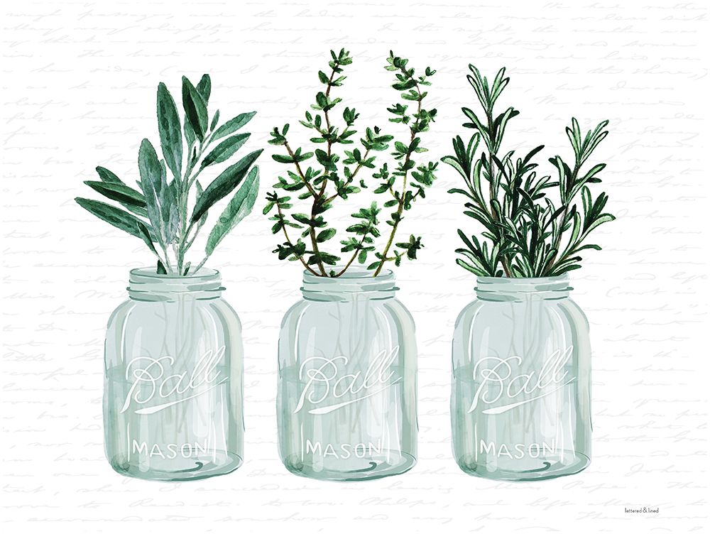 Herbs art print by lettered and lined for $57.95 CAD