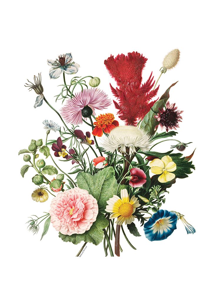 Flourishing Floral art print by Lettered and Lined for $57.95 CAD
