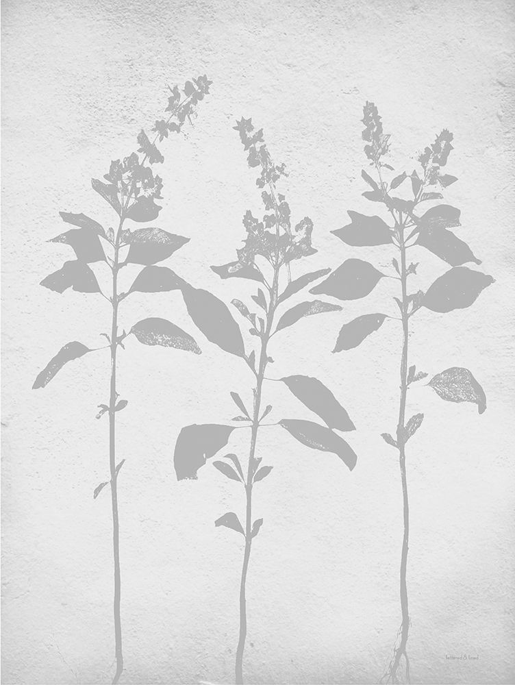 Retreat Botanical 7 art print by Lettered and Lined for $57.95 CAD