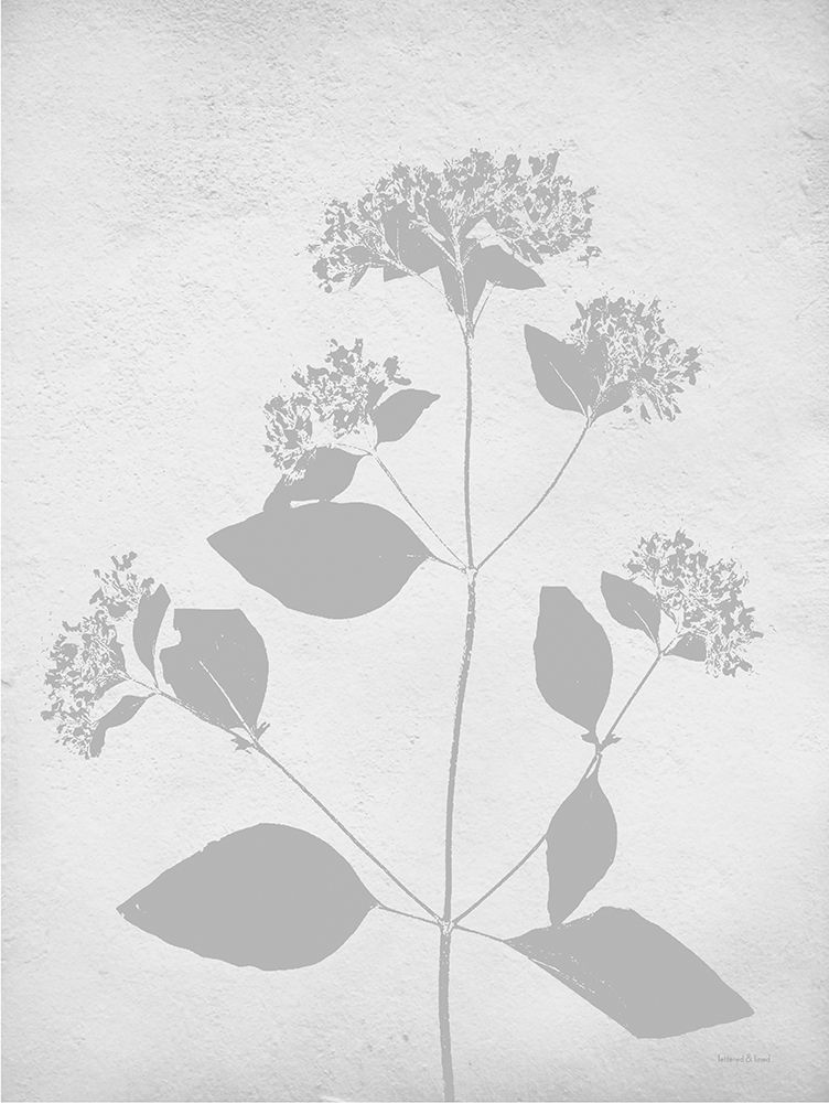 Retreat Botanical 8 art print by Lettered and Lined for $57.95 CAD