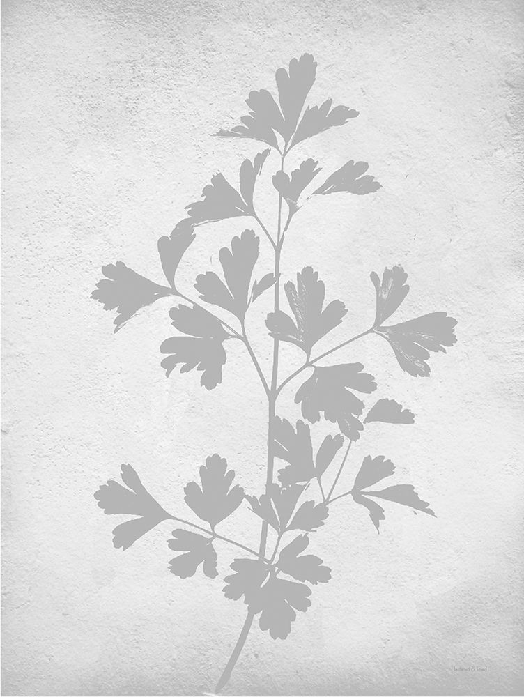 Retreat Botanical 9 art print by Lettered and Lined for $57.95 CAD