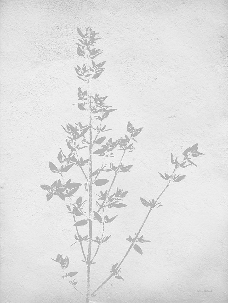 Retreat Botanical 15 art print by Lettered and Lined for $57.95 CAD