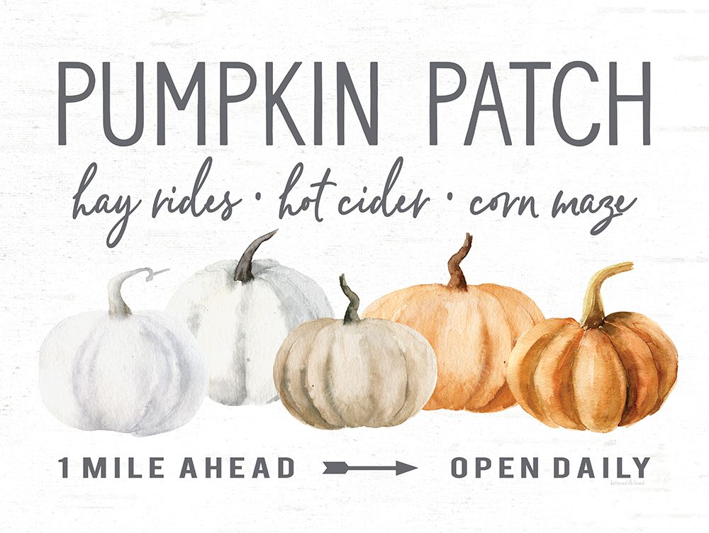 Pumpkin Patch art print by lettered And lined for $57.95 CAD
