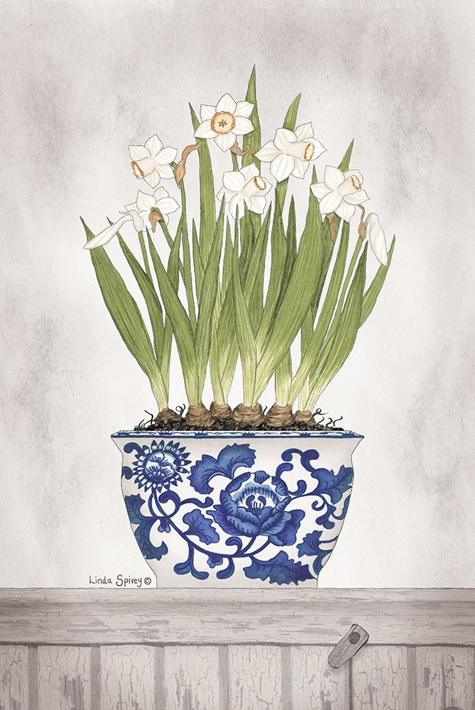 Blue and White Daffodils II art print by Linda Spivey for $57.95 CAD