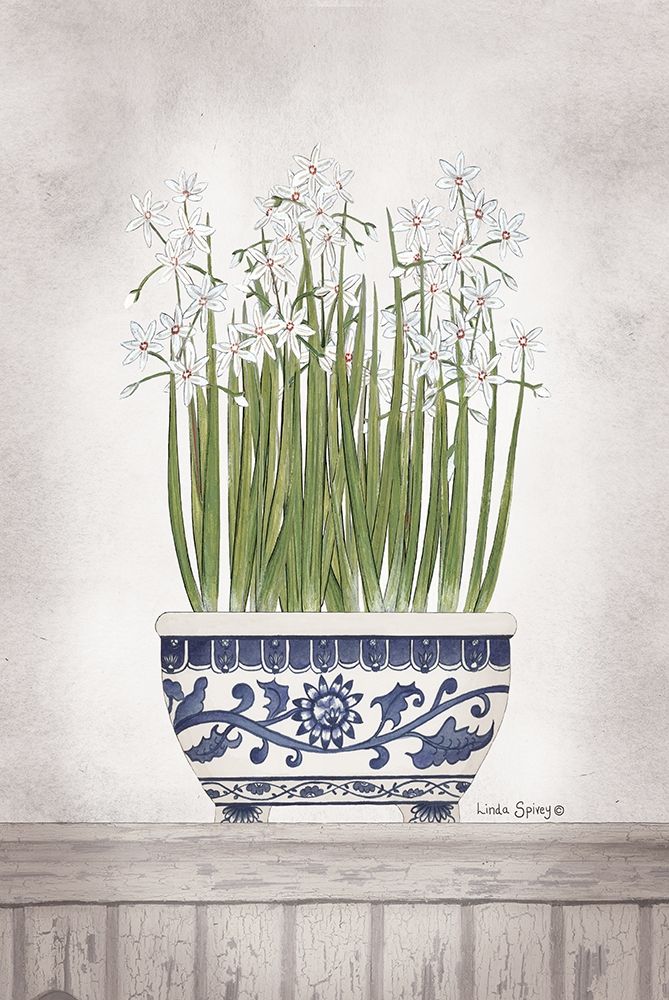 Blue and White Paperwhites II art print by Linda Spivey for $57.95 CAD