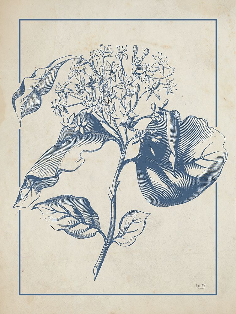 Dogwood Bloom art print by Lux + Me Designs for $57.95 CAD