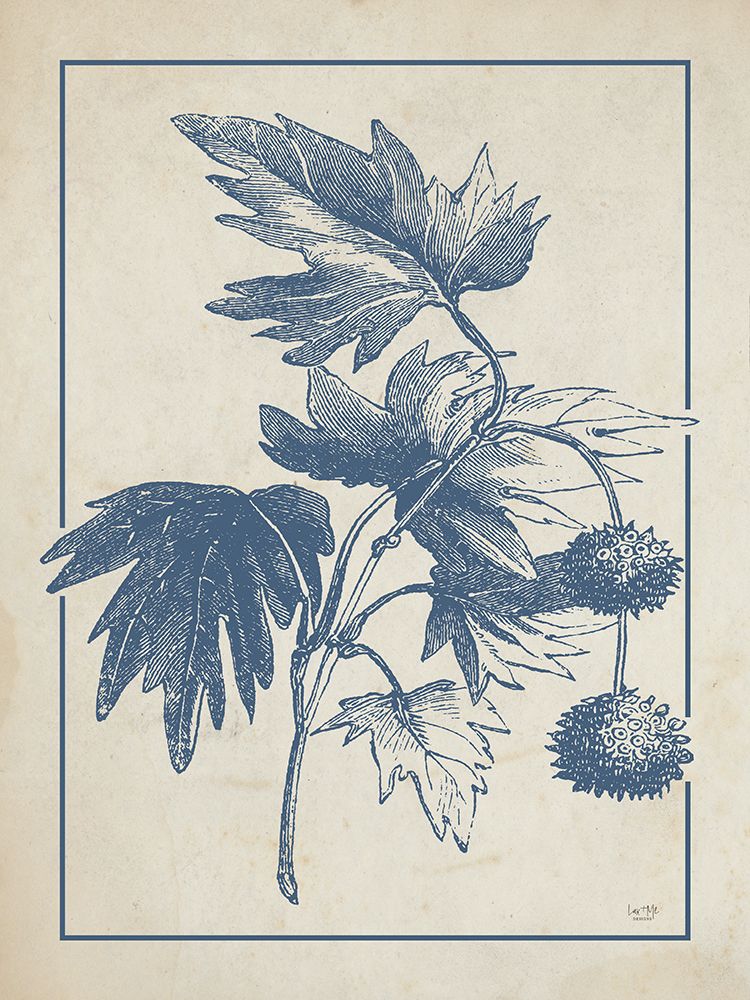 Old World Sycamore art print by Lux + Me Designs for $57.95 CAD