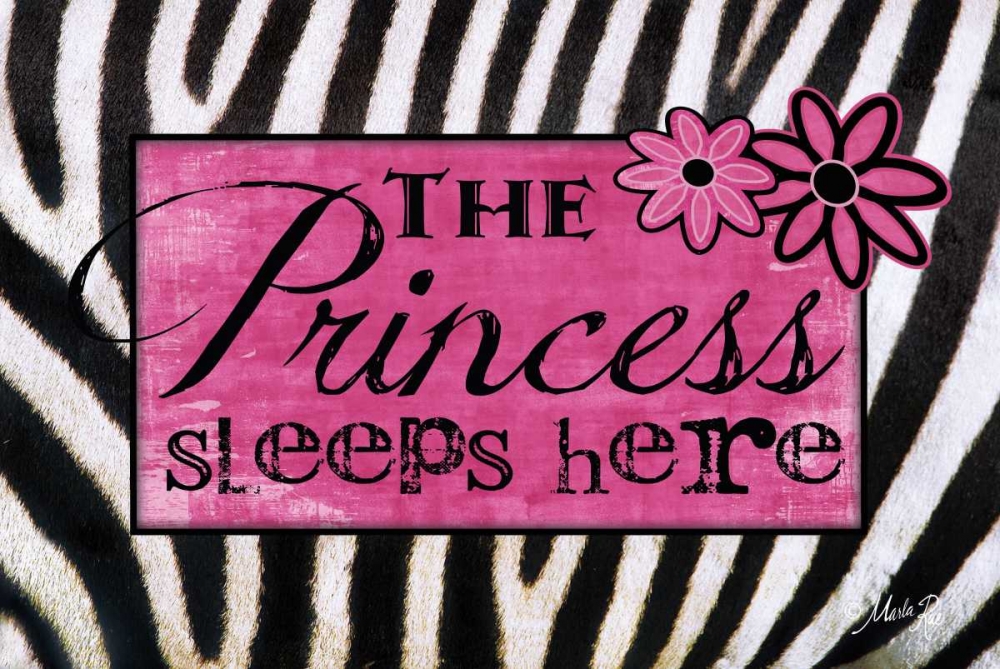 Princess Sleeps Here art print by Marla Rae for $57.95 CAD