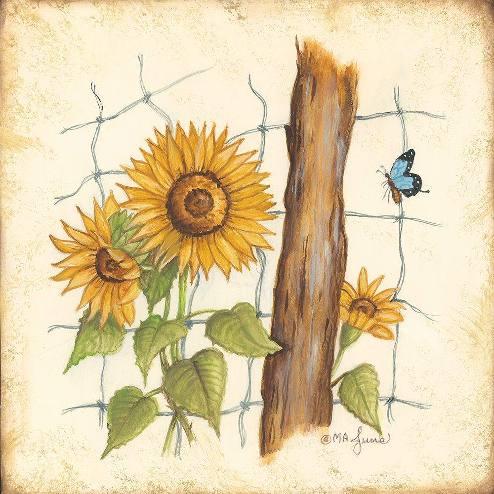 Fenceline Sunflowers art print by Mary Ann June for $57.95 CAD